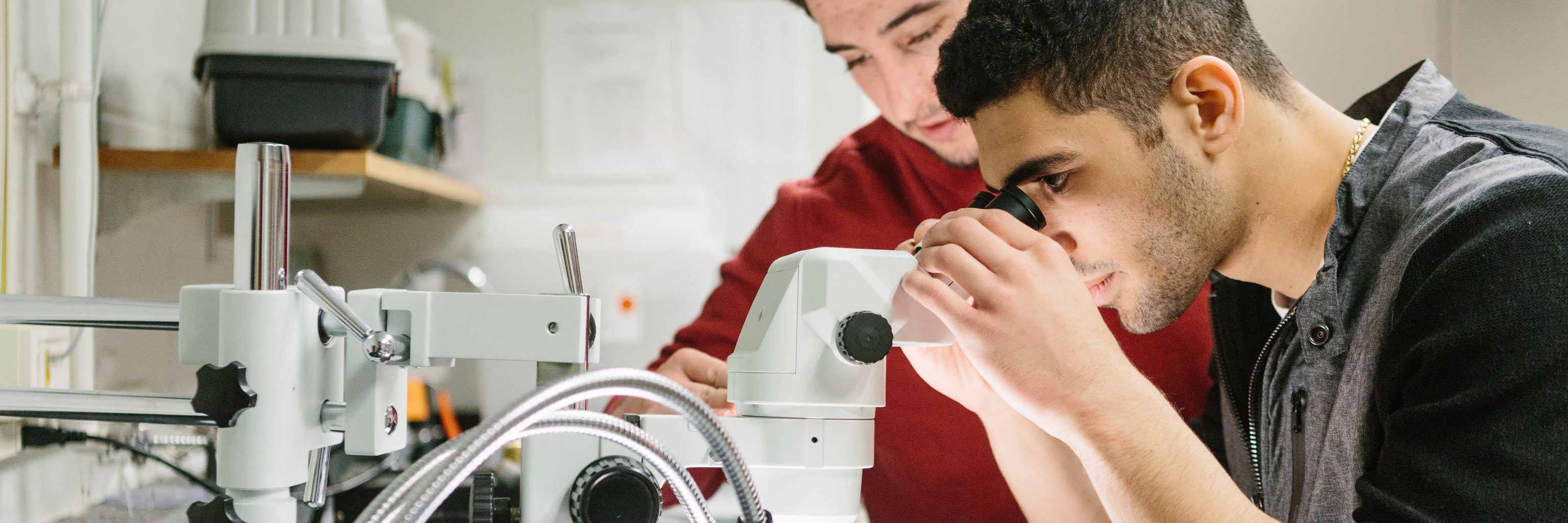 two men looking through microscope in a lab